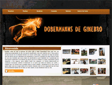 Tablet Screenshot of dobermannsdeginebro.com